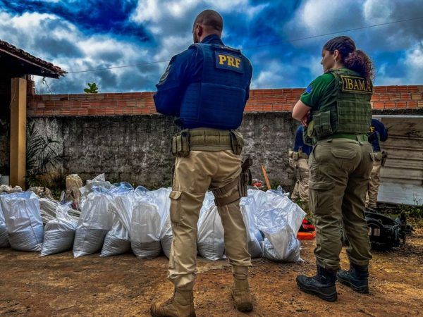Valor arrecadado em leilão de cassiterita apreendida em Roraima será usado para combate ao garimpo ilegal
