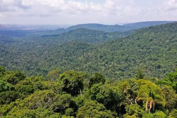 Prefeitos indicam representante para o Conselho do Meio Ambiente