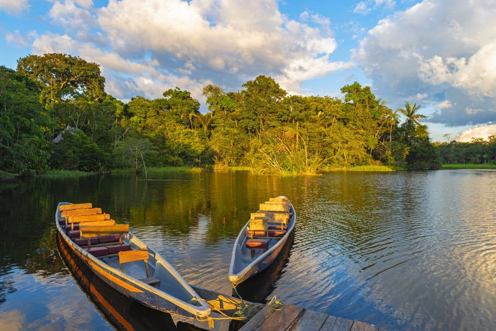 Governo define em junho prioridades do Fundo Amazônia, congelado por 4 anos