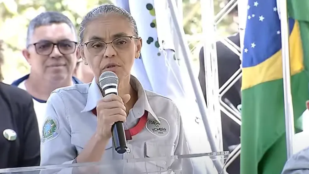 Desmatamento: Marina pede que 'árvores fortes' protejam o 'essencial'