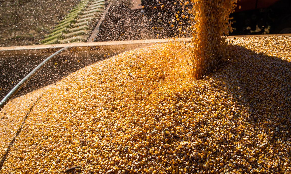 Após 6 anos, Conab retoma política de estoques públicos de alimentos