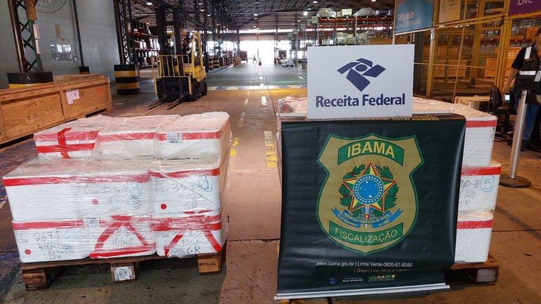 Ibama e Receita Federal apreendem quase meia tonelada de pescado irregular no Aeroporto do Galeão 