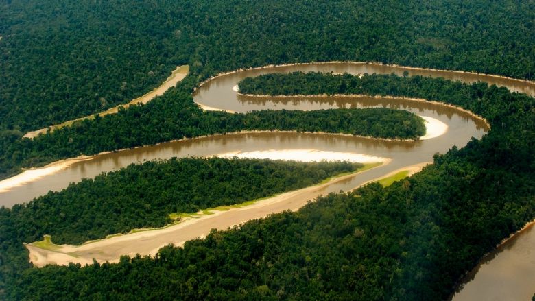 MMA cria Câmara Setorial de Guardiãs e Guardiões da Biodiversidade