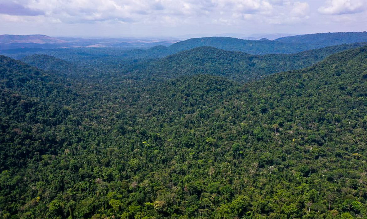 Robô sueco na Amazônia será controlado a 12 mil quilômetros de distância