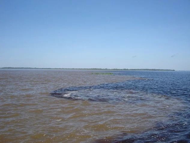 Justiça mantém condenação de empresa que lançou óleo no Rio Solimões, no Amazonas