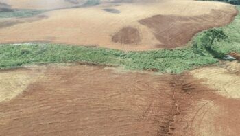 Ibama embarga 1.397 hectares utilizados ilegalmente para atividade agrícola 
