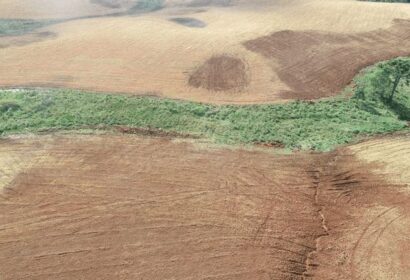 Ibama embarga 1.397 hectares utilizados ilegalmente para atividade agrícola 