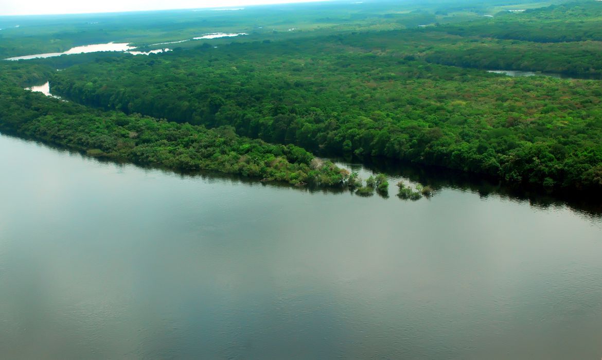PGR aciona Supremo contra lei do Amazonas que prevê licença ambiental única e sem estudo de impacto ambiental