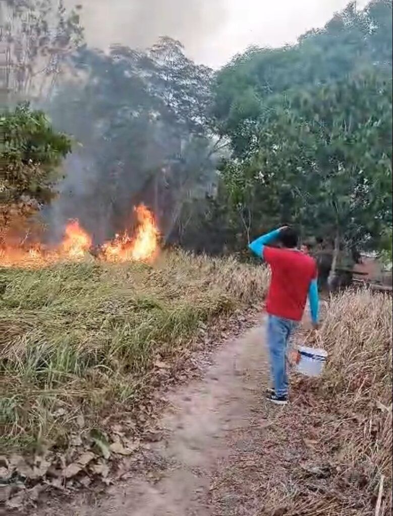 Amazonas atua em força-tarefa contra queimadas em Autazes