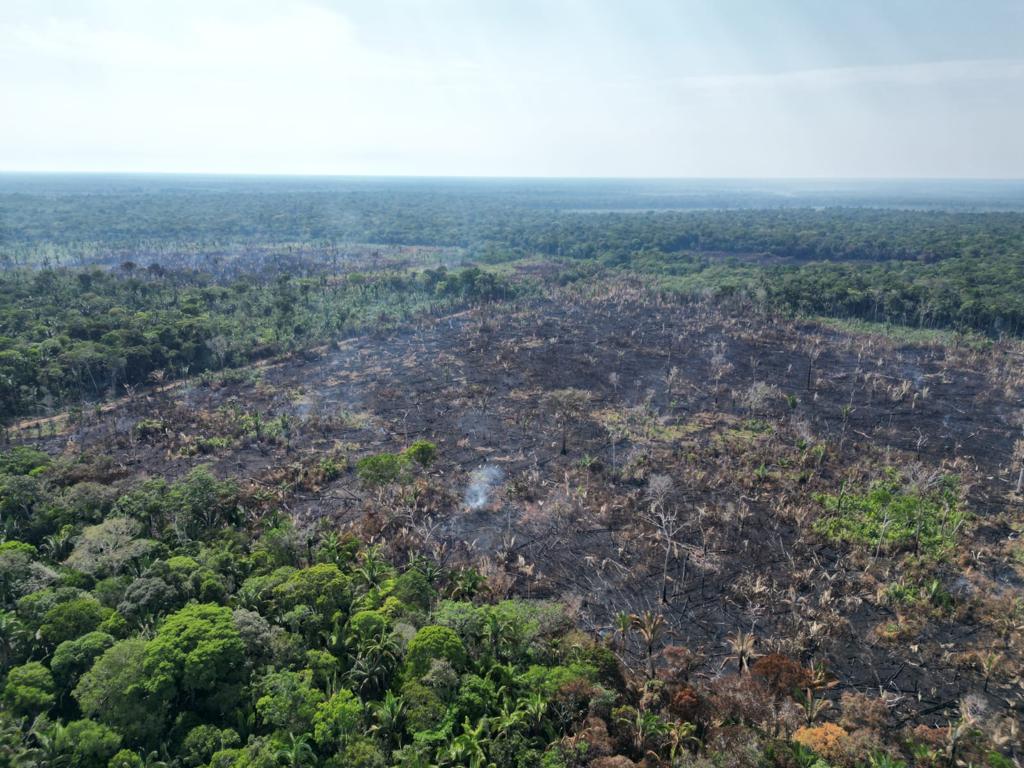 Tamoiotatá: 9ª fase gera mais de R$ 76 milhões em multas no sul do Amazonas