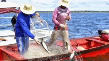 Divulgada datas do pagamento de Auxílio Emergencial Pescador Artesanal