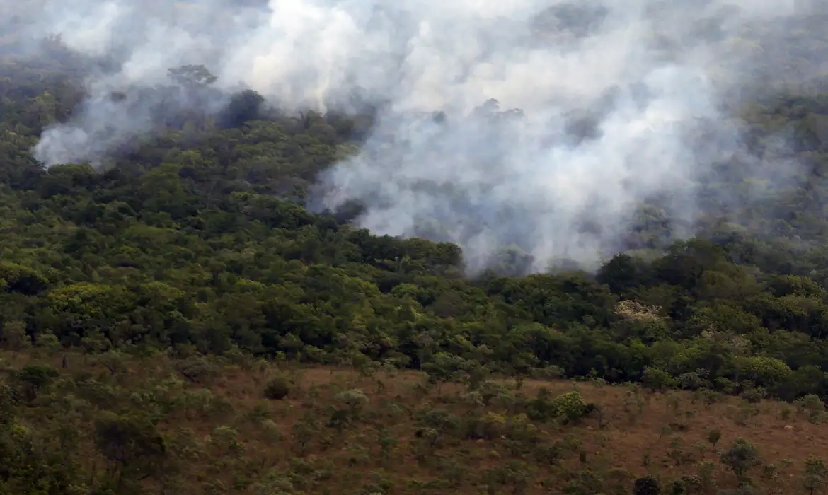 Pantanal tem este ano maior área queimada em junho