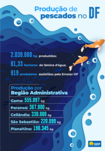 agro-do-quadrado-criacao-de-pe