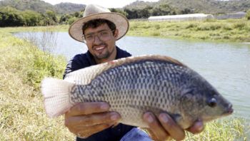agro-do-quadrado-criacao-de-pe