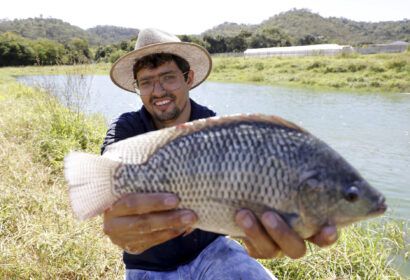 agro-do-quadrado-criacao-de-pe