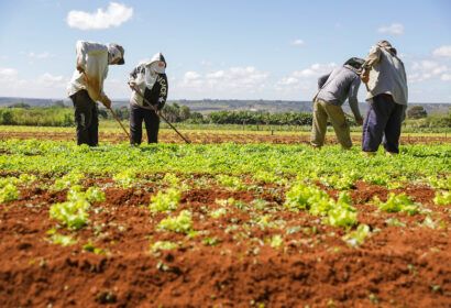 agro-do-quadrado-producao-de-h