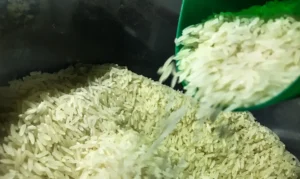 brasil-vai-importar-arroz-para