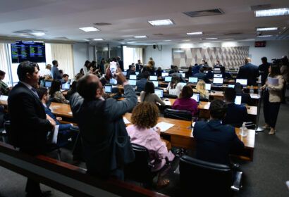 ccj-do-senado-aprova-novo-segu