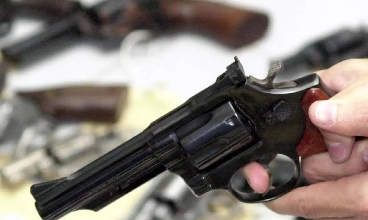 Foto: Arquivo/Agência Brasil Comissão aprova projeto que abre novo prazo para recadastramento de armas de uso permitido ou restrito