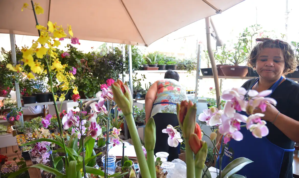 Foto: José Cruz/Agência Brasil Desenrola para MEI e micro e pequenas empresas começa nesta segunda