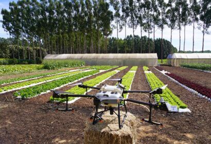 evento-vai-orientar-sobre-agro