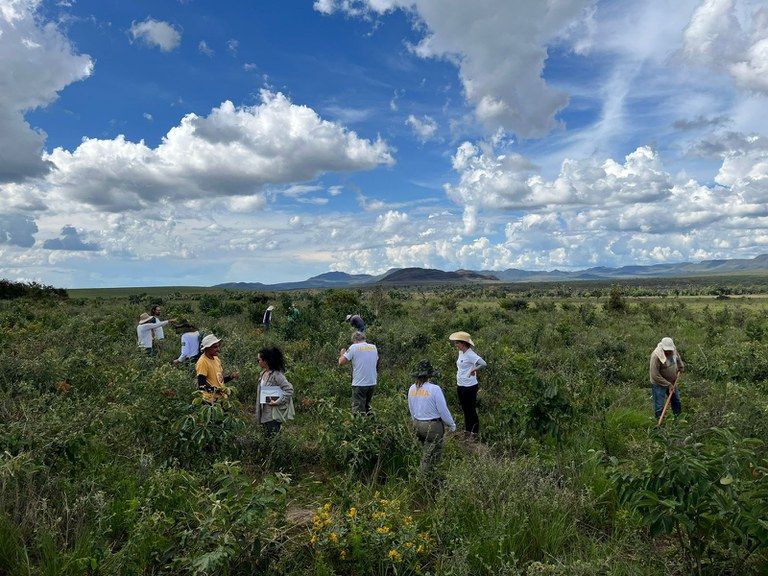 Ibama e ICMBio dias Campo na Chapada dos Veadeiros Ibama e ICMBio promovem 3º Dia de Campo no Parque Nacional da Chapada dos Veadeiros