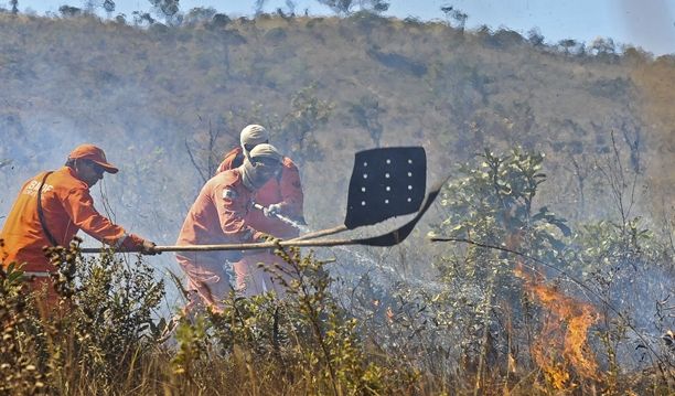 Foto: Divulgação/Brasília Ambiental
Governo discute enfrentamento de estiagem e incêndios na Amazônia e Pantanal