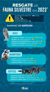 mais-de-15-mil-animais-silvest