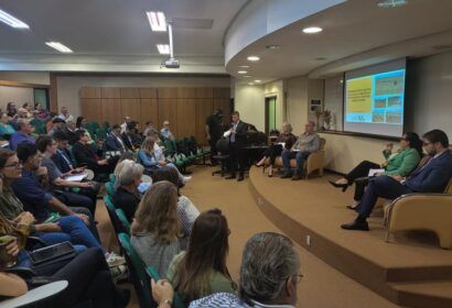 mma-debate-plano-de-combate-a-