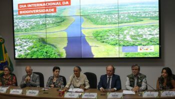 mma-publica-edital-para-pagame