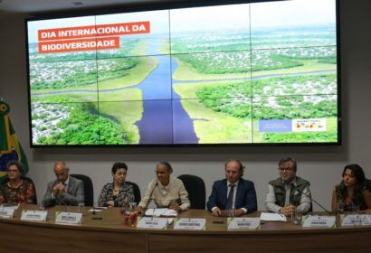 mma-publica-edital-para-pagame