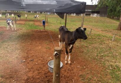 novo-modelo-de-instalacao-para