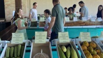 nucleo-rural-de-tabatinga-se-p