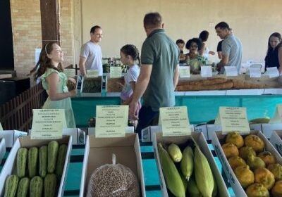 nucleo-rural-de-tabatinga-se-p