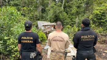 pf-ibama-funai-e-exercito-desm