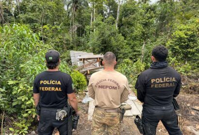 pf-ibama-funai-e-exercito-desm