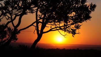 prorrogadas-inscricoes-para-pe