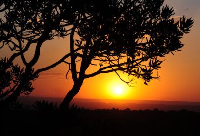 prorrogadas-inscricoes-para-pe