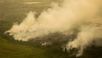 com-incendios-mato-grosso-do-s