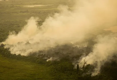 com-incendios-mato-grosso-do-s
