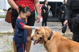 divulgado-cronograma-das-proxi