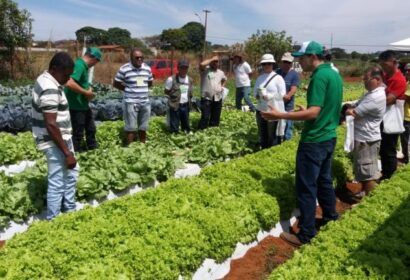 evento-promovera-capacitacao-d