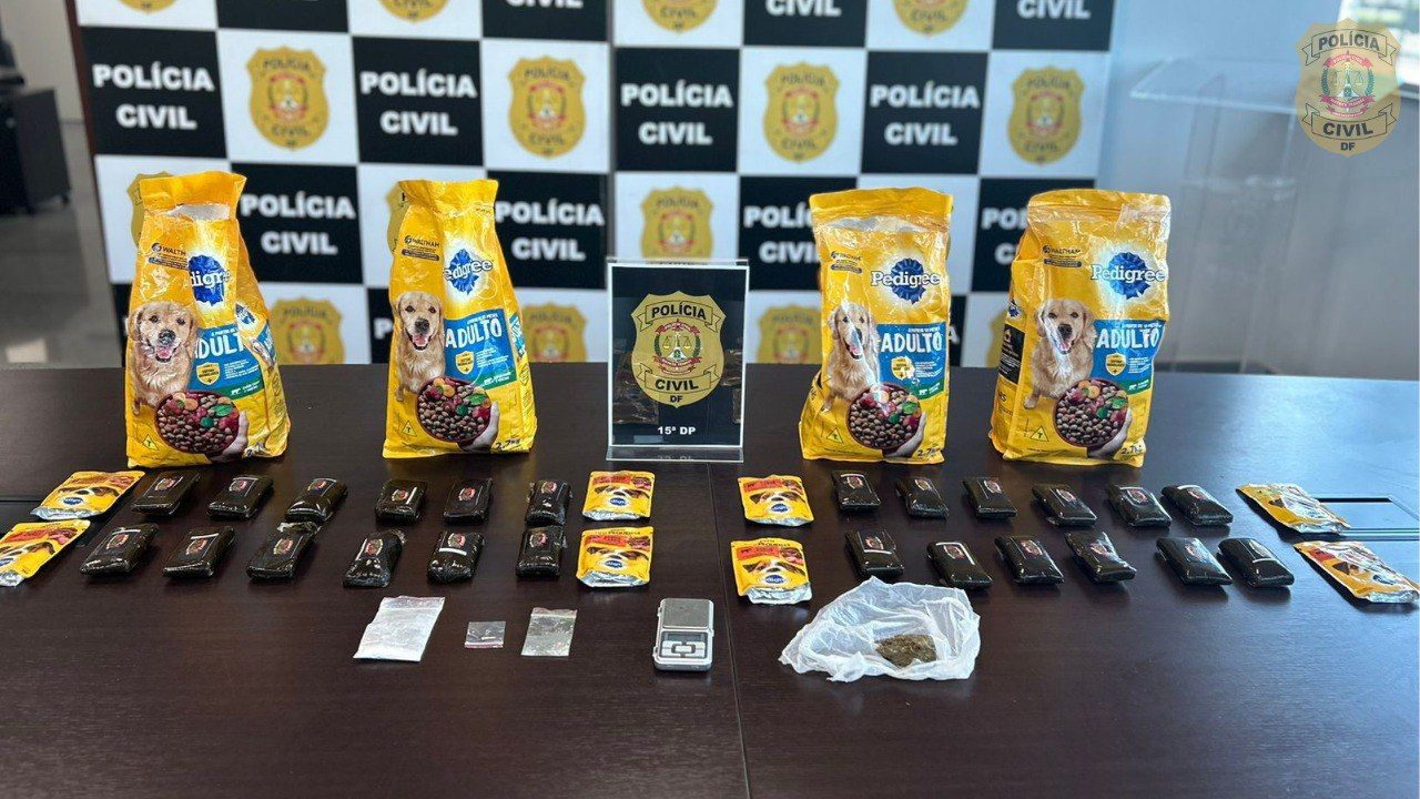Foto: Divulgação/PC-DF Operação Bad Delivery 4: PCDF apreende R$ 120 mil em tabletes de haxixe em encomendas dos Correios