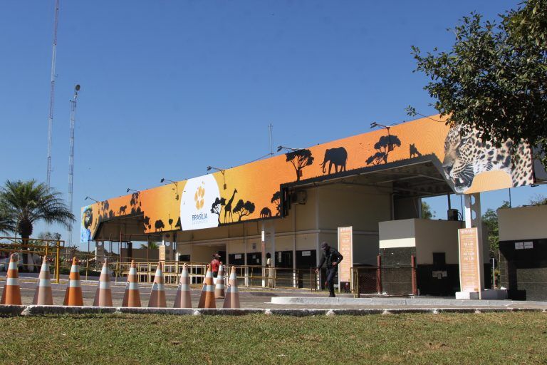 Foto: (Leonardo Viana/Zoológico)
Primeira festa junina do Zoológico terá quadrilha e comidas típicas