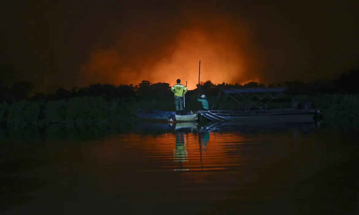 Foto: Joédson Alves/Agência Brasil STF dá prazo para Congresso aprovar lei de proteção do Pantanal
