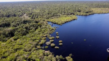 criacao-do-museu-das-amazonias