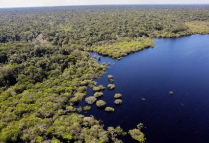 criacao-do-museu-das-amazonias