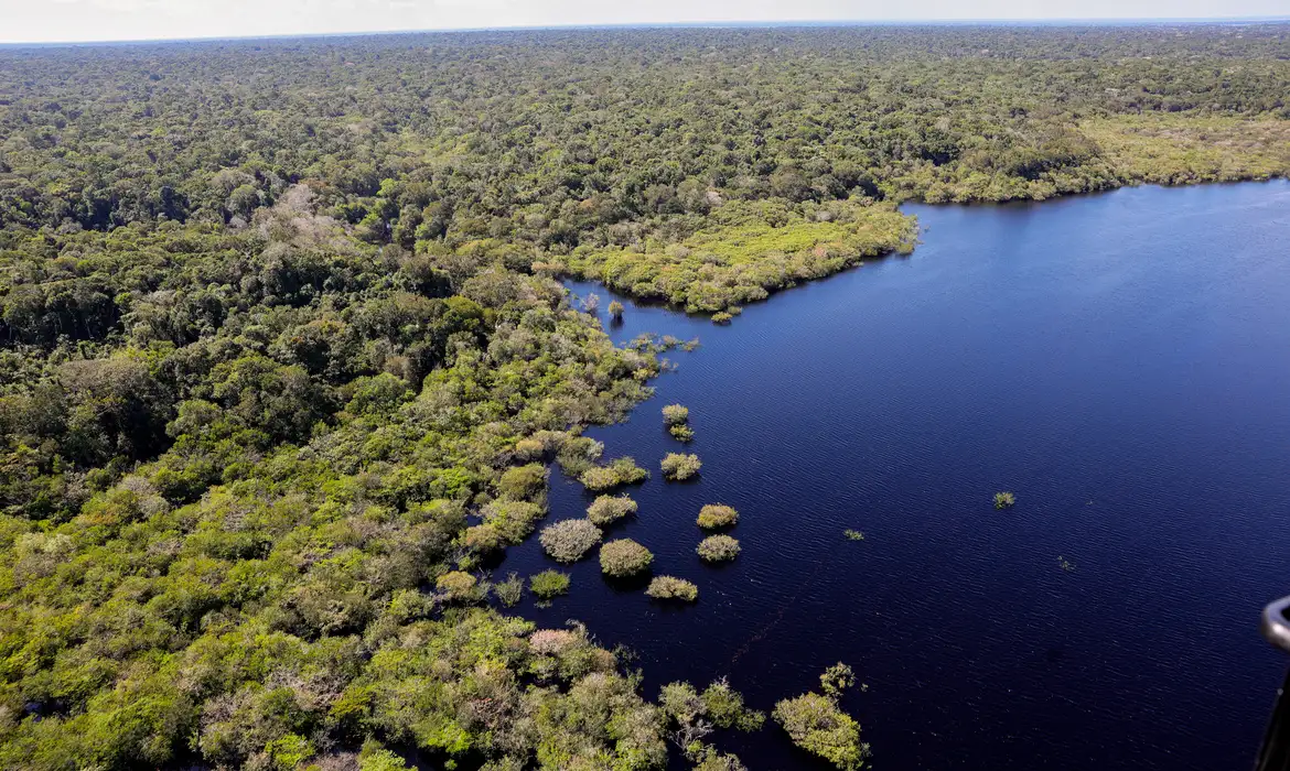 Foto: Fabio Rodrigues Pozzebom/Agência Brasil Criação do Museu das Amazônias é lançada em Belém