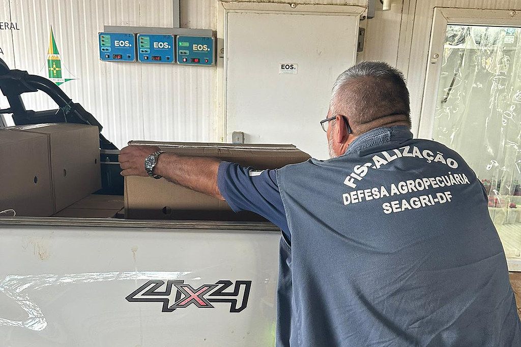 A Secretaria de Agricultura, Abastecimento e Desenvolvimento Rural do Distrito Federal (Seagri) realizou duas operações em que foram encontradas várias irregularidades quanto a normas sanitárias. As fiscalizações ocorreram em Ceilândia e na BR-020. Foto: Divulgação/ Seagri Operações retiram medicamentos e alimentos irregulares de circulação