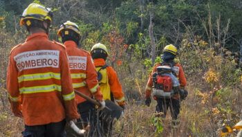 Nesta época do ano, a média diária de ocorrências de incêndios florestais chega a 100 chamados Foto: (Joel Rodrigues/Agência Brasília)